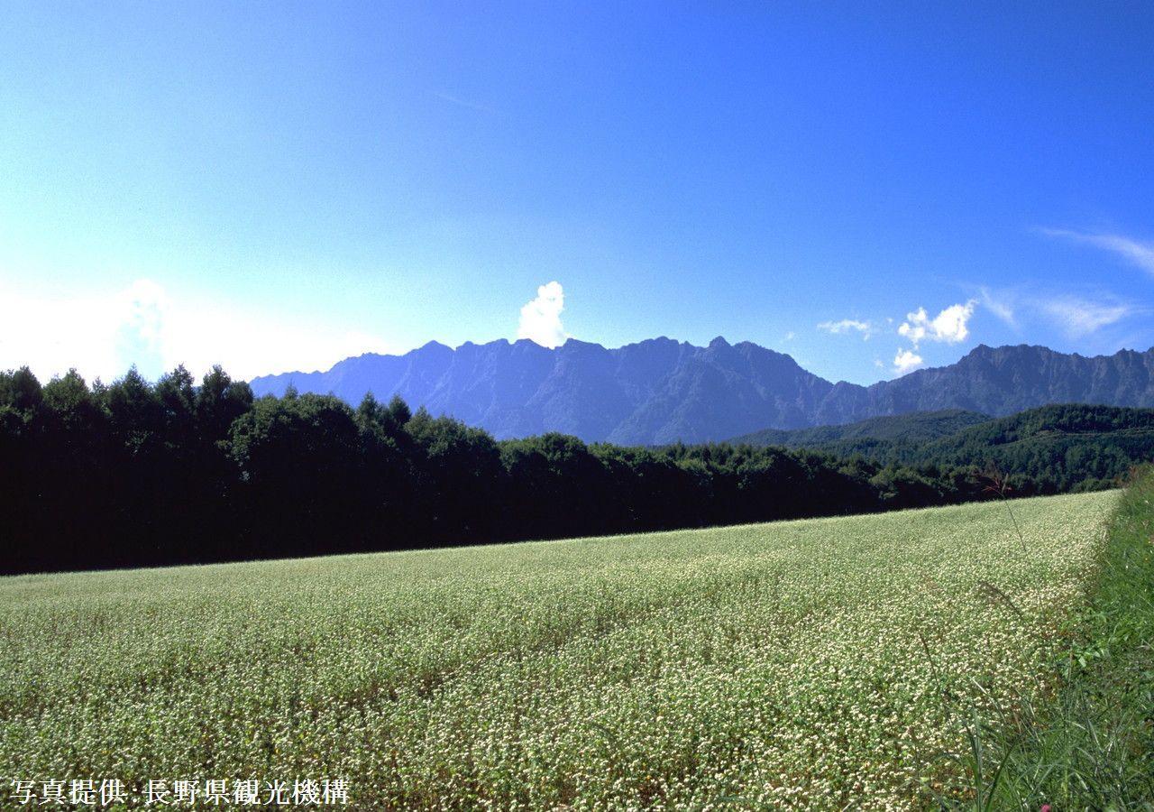 Shioriya